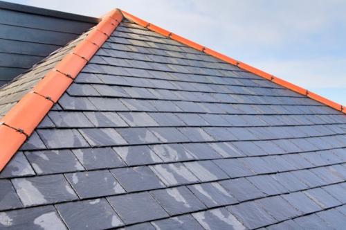 87D68739-DE6F-4BB1-AD6F-B7C688A9EDE9